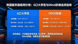 韩国服务器租用价格：G口大带宽与DDoS防御怎么选？