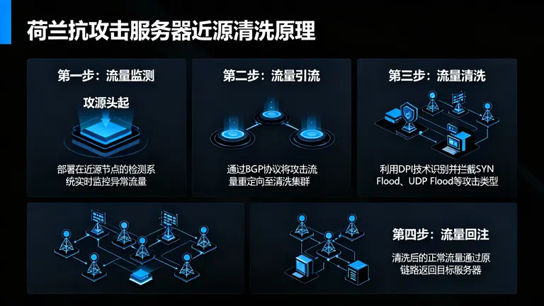 荷兰高防服务器租用