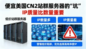 便宜美国cn2站群服务器的“坑”：IP质量比数量重要