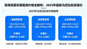 菲律宾服务器租用价格全解析：2025年最新马尼拉机房报价
