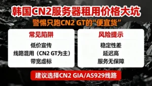 韩国cn2服务器租用大坑，警惕只跑GT的“便宜货”