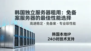 韩国独立服务器租用：免备案服务器的最佳性能选择