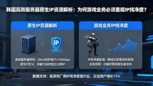 韩国高防服务器原生IP资源解析：为何游戏业务必须重视IP纯净度？