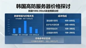 韩国高防服务器价格探讨：防御100G的DDoS攻击需要多少预算？