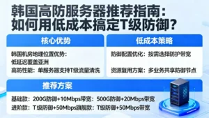 韩国高防服务器推荐指南：如何用低成本搞定T级防御？