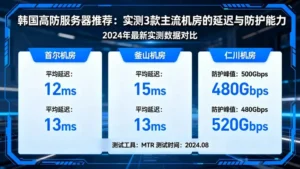 韩国高防服务器推荐：实测3款主流机房的延迟与防护能力