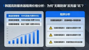 韩国高防服务器租用价格分析：为何“无限防御”反而最“坑”？