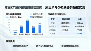 韩国KT服务器租用避坑指南：原生IP与CN2线路的硬核实测