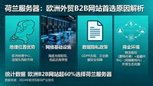 荷兰服务器为什么是欧洲外贸B2B网站的首选？