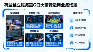 荷兰独立服务器G口大带宽方案适用于哪些业务场景