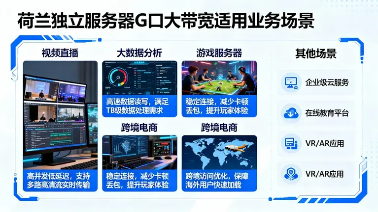 荷兰独立服务器G口大带宽方案适用于哪些业务场景