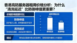 香港高防服务器租用价格分析：为什么“清洗延迟”比防御峰值更重要？