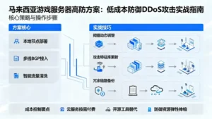 马来西亚游戏服务器高防方案：低成本防御DDoS攻击的实战技巧
