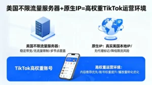 美国不限流量服务器结合原生IP，打造高权重TikTok运营环境