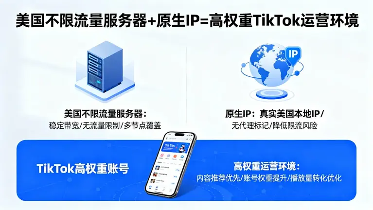 美国不限流量服务器结合原生IP，打造高权重TikTok运营环境