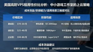 美国高防vps租用性价比分析：中小游戏工作室的上云策略