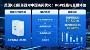 美国G口服务器对中国访问优化：BGP线路如何影响直播体验？