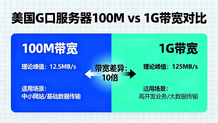 美国G口服务器价格