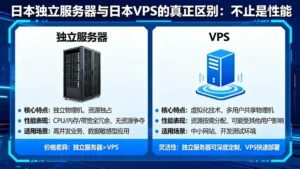日本独立服务器与日本VPS的真正区别：不止是性能