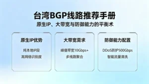 台湾BGP线路推荐手册：原生IP、大带宽与防御能力的平衡术