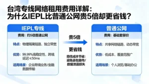 日本IEPL专线价格全攻略：从10M到1G带宽的市场行情分析