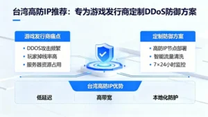 台湾高防IP推荐：专为游戏发行商定制DDoS防御方案