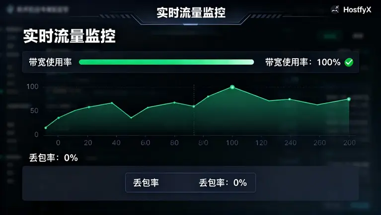 HostifyX 后台实时的流量监控，带宽跑满且无丢包的状态