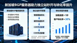 新加坡bgp服务器如何助力独立站秒开？将客户转化率提升30%