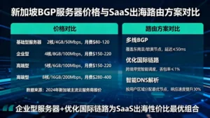 新加坡BGP服务器价格是多少？对比SaaS出海的最佳路由方案