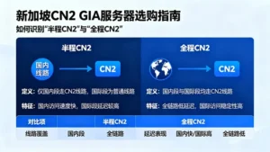 新加坡CN2 GIA服务器选购指南：如何识别“半程CN2”与“全程CN2”？