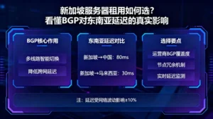 新加坡服务器租用如何选？看懂BGP对东南亚延迟的真实影响