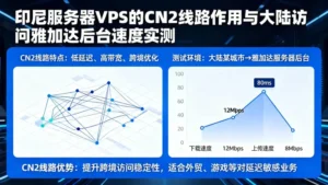 印尼服务器VPS的CN2线路有多大用处？实测大陆访问雅加达后台速度