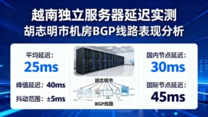 越南独立服务器延迟实测：胡志明市机房BGP线路表现如何？