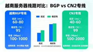 越南服务器线路哪家强？对比评估越南BGP和CN2专线