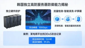 韩国独立高防服务器能扛住多大攻击？揭秘真实防御能力