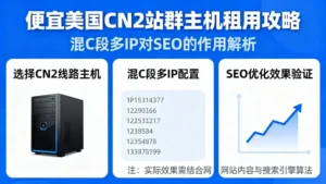 便宜美国cn2站群主机租用攻略：混C段多IP对SEO真的有用吗？