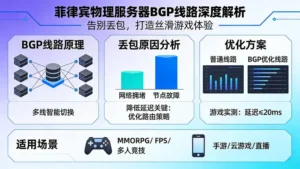菲律宾物理服务器BGP线路深度解析：告别丢包，打造丝滑游戏体验