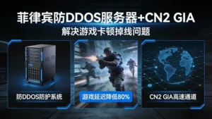 菲律宾防DDOS服务器+CN2 GIA：解决游戏卡顿掉线问题
