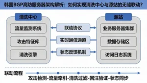 韩国BGP高防服务器架构解析：如何实现清洗中心与源站的无缝联动？
