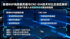 香港BGP线路服务器与CN2 GIA有何不同？IT负责人员必须厘清的技术误区