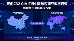 马来西亚CN2服务器性能优化：如何用技术手段压榨出最后1ms？