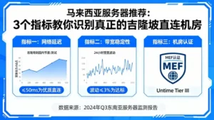 马来西亚服务器推荐：3个指标教你识别真正的吉隆坡直连机房