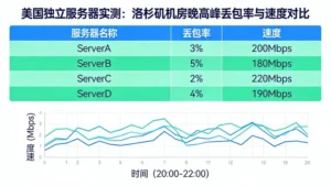 美国独立服务器哪家快？实测洛杉矶机房晚高峰丢包率与速度