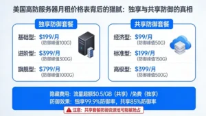 美国高防服务器月租价格表背后的猫腻：独享与共享防御的真相