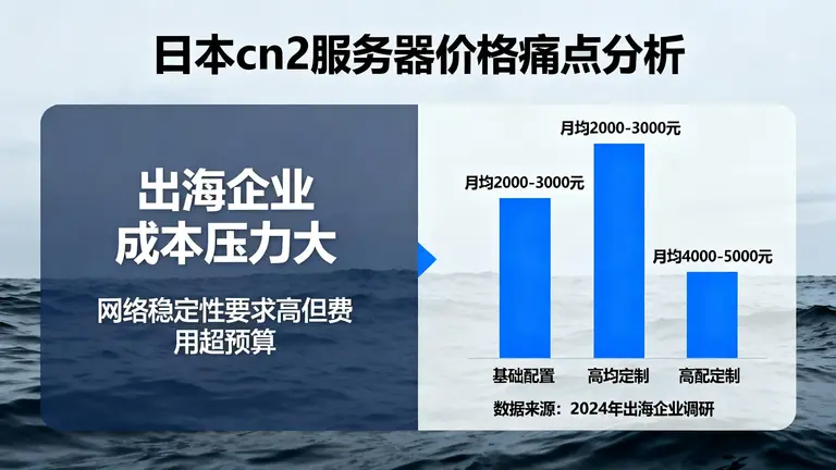 日本cn2服务器多少钱是很多出海企业的痛点