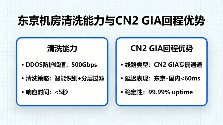 东京机房的清洗能力与CN2 GIA回程优势