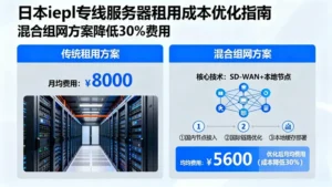 日本iepl专线服务器租用费用高？教你用“混合组网”方案降低30%成本