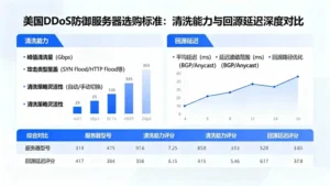 美国ddos防御服务器租用标准：从清洗能力到回源延迟对比