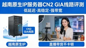 越南原生IP服务器CN2 GIA线路评测：直播带货不卡顿