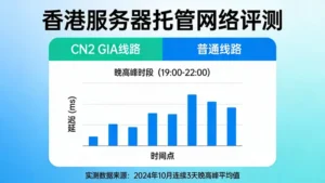 香港服务器托管网络评测：CN2 GIA与普通线路在晚高峰的延迟差异